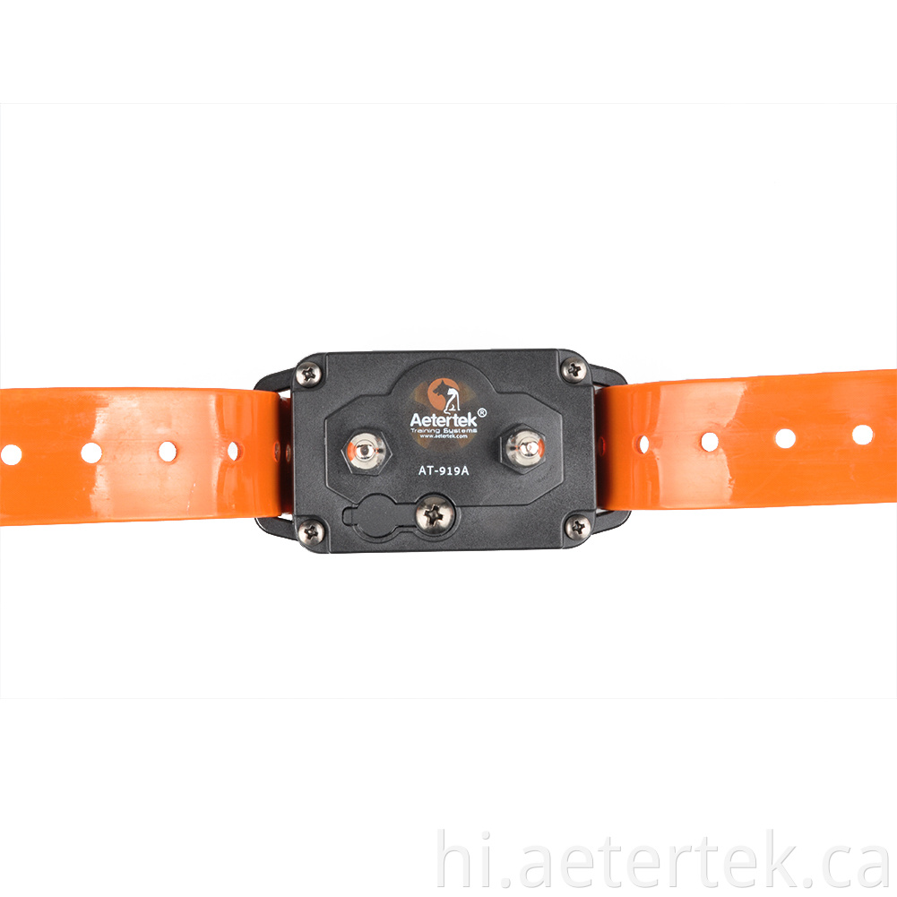 Auto Anti Bark Collar